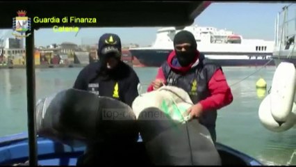 Nazar Seiti i përgjuar në dosjen e "Habilajve" - Top Channel Albania - News - Lajme