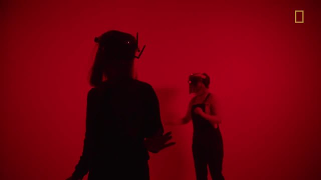 TECH+ART: Reprogramming Perception