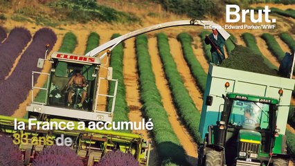 VIDEO - Le 5 mai, la France vivra en déficit écologique... Mais, qu’est-ce que cela signifie ?