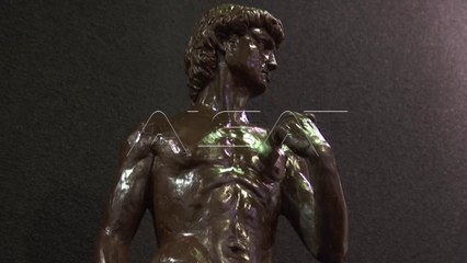 (ВИДЕО) Ремек дела од чоколадо