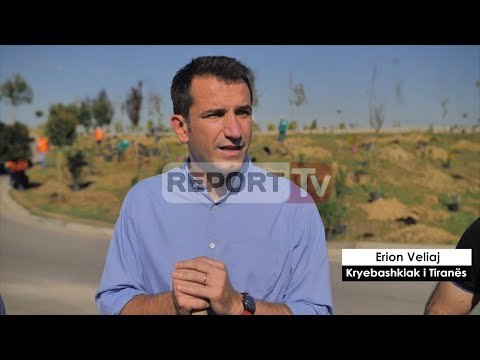 Report TV - Veliaj mbjell 500 pemë te Liqeni i Thatë për krijimin e Pyllit Orbital