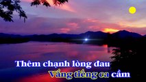 [Karaoke] SẦU CỐ ĐÔ - Duy Khánh (Giọng Nữ: D#m)