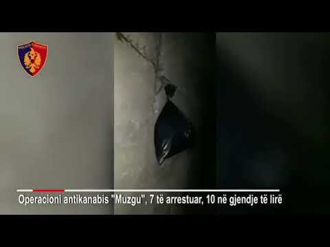 Ora News – Sekuestrohet drogë në thellësinë e një tuneli, 7 persona të arrestuar