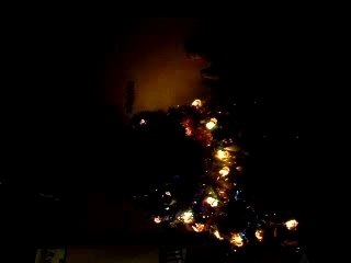 sapin de biais lol