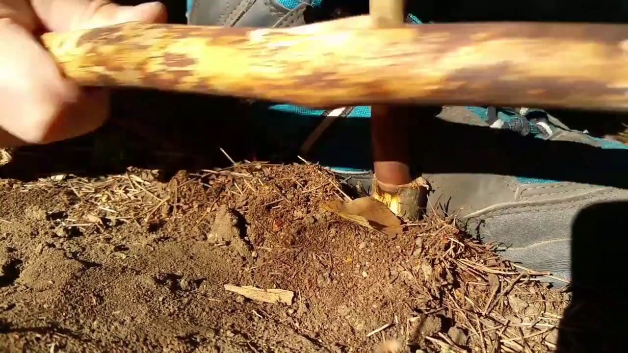 Fuoco  con archetto in testa a legno verticale