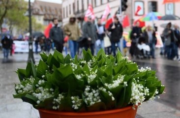 D'où vient la tradition du muguet au 1er Mai ?