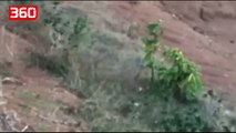 Donte të bënte një selfie me ariun, burri copëtohet deri në vdekje nga ariu (360video)