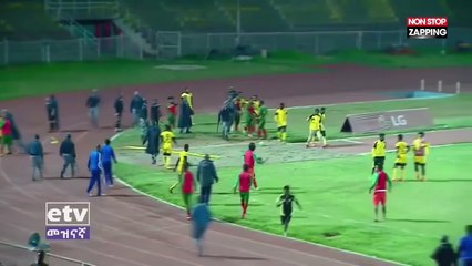 Éthiopie : Un arbitre violemment frappé par les joueurs et l'entraîneur, la vidéo choc !
