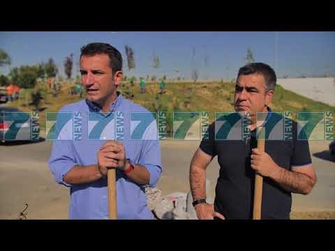 VELIAJ VIJOJME PUNEN ME PYLLIN ORBITAL - News, Lajme - Kanali 11