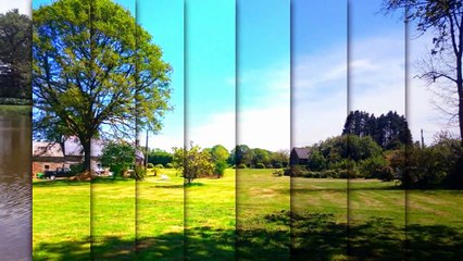 propriété sur 3.1 hectares avec plan d'eau