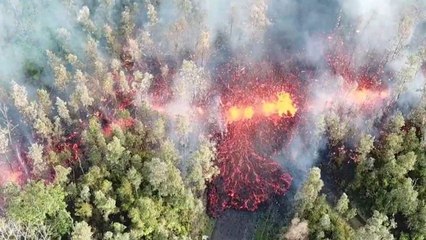 Un drone filme une coulée de lave dans une forêt (Hawaï)