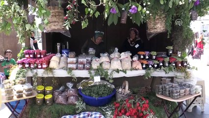 'Tyche Bereket Festivali' - DÜZCE