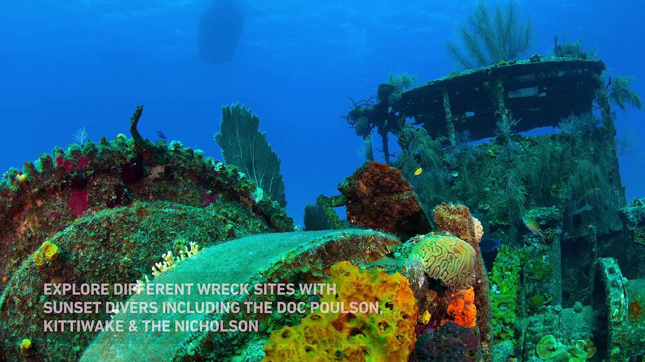 Sunset House: Readers Choice 2018 Winner