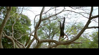 Sainika Video Song -- Naa Peru Surya Naa illu India Songs -- Allu Arjun, Anu Emmanuel