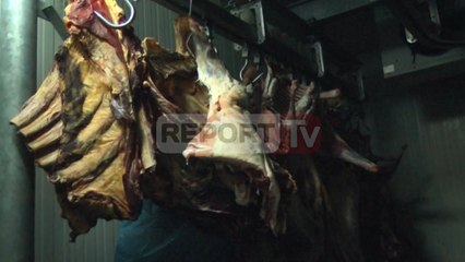 Report TV - Asgjësohet 2.4 ton mish, nuk kishte parametra e sigurisë