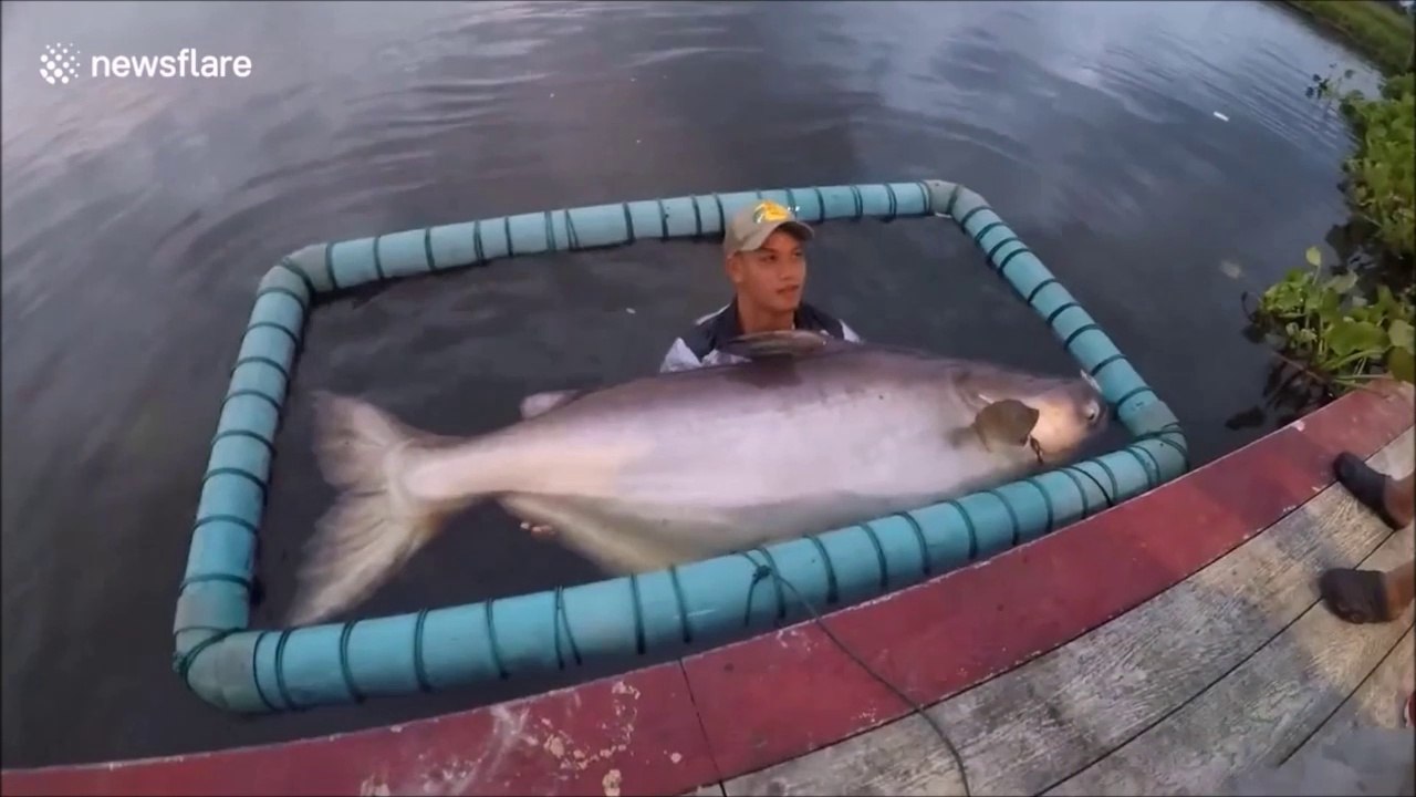 Regardez la taille du poisson que ce pecheur va sortir