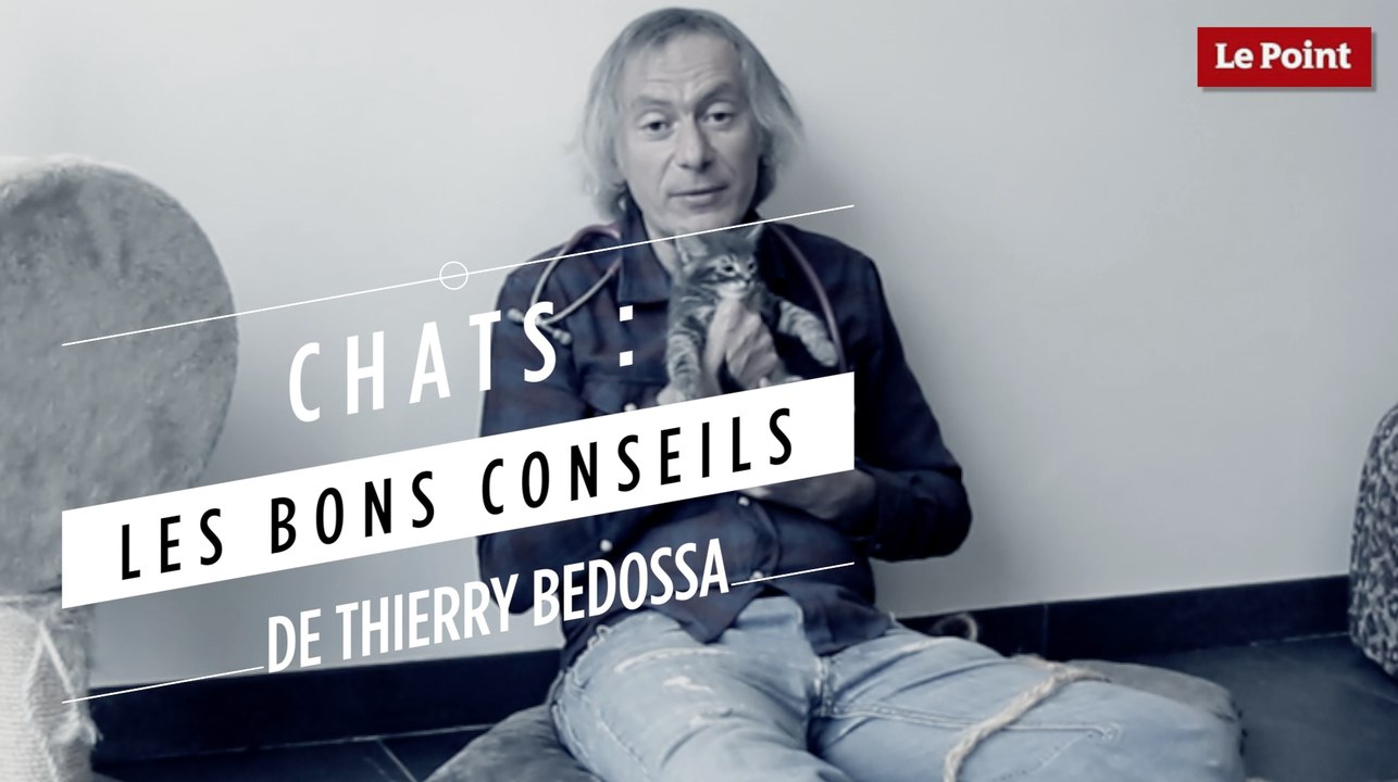 Thierry Bedossa : protéger son chat des puces et des maladies infectieuses