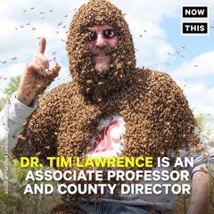 ICYMI: this professor gave a lecture on honeybees while he was covered in honeybees