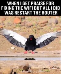 Yes, I am a genius.Private Kruger Safaris