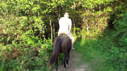 Конные Прогулки в Абхазии 2017