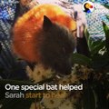 This woman had such bad panic attacks that she was hospitalized, but she started feeling better when she met a very special bat — who helped her so much, she ha