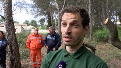 Gaël Bettinelli, responsable du Pôle forêts à la DDTM.