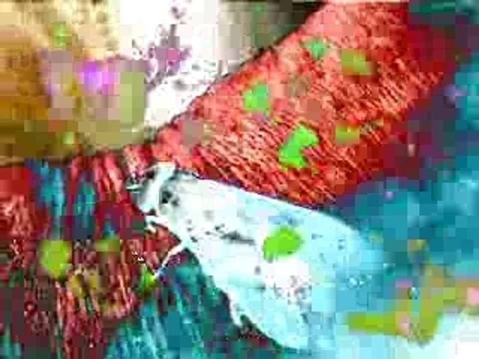 ultima cosita