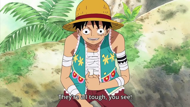 The Tale of Momo the Fearless and the Astonishing Luffy! - RJ