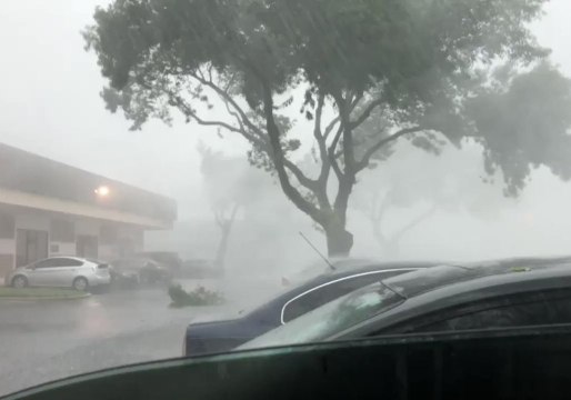 Gusty Storm Blows Down Tree Limbs in Austin