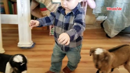 Baby and Baby Goats | Bebek ve yavru keçiler