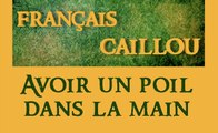Français caillou / Définition du jour : 