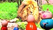 Familia Peppa Pig vai ao zoológico e tem medo dos animais mais vários episódios (em português)