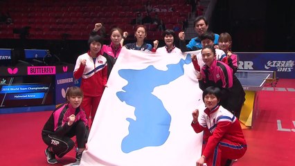 여자탁구 단일팀, 세계선수권 결승행 좌절 / YTN