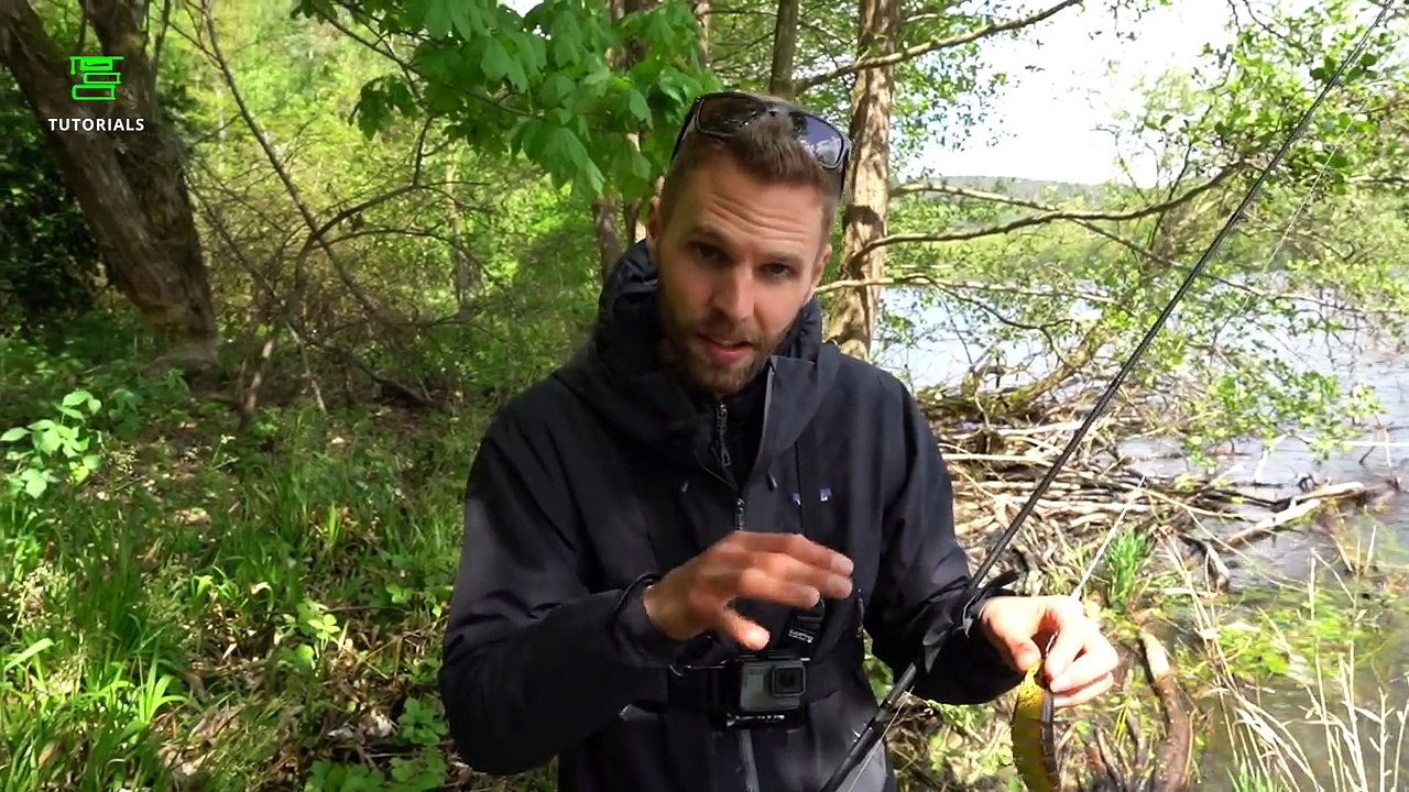 Hechtangeln im Mai/Juni - so geht´s | Fishing-King.de