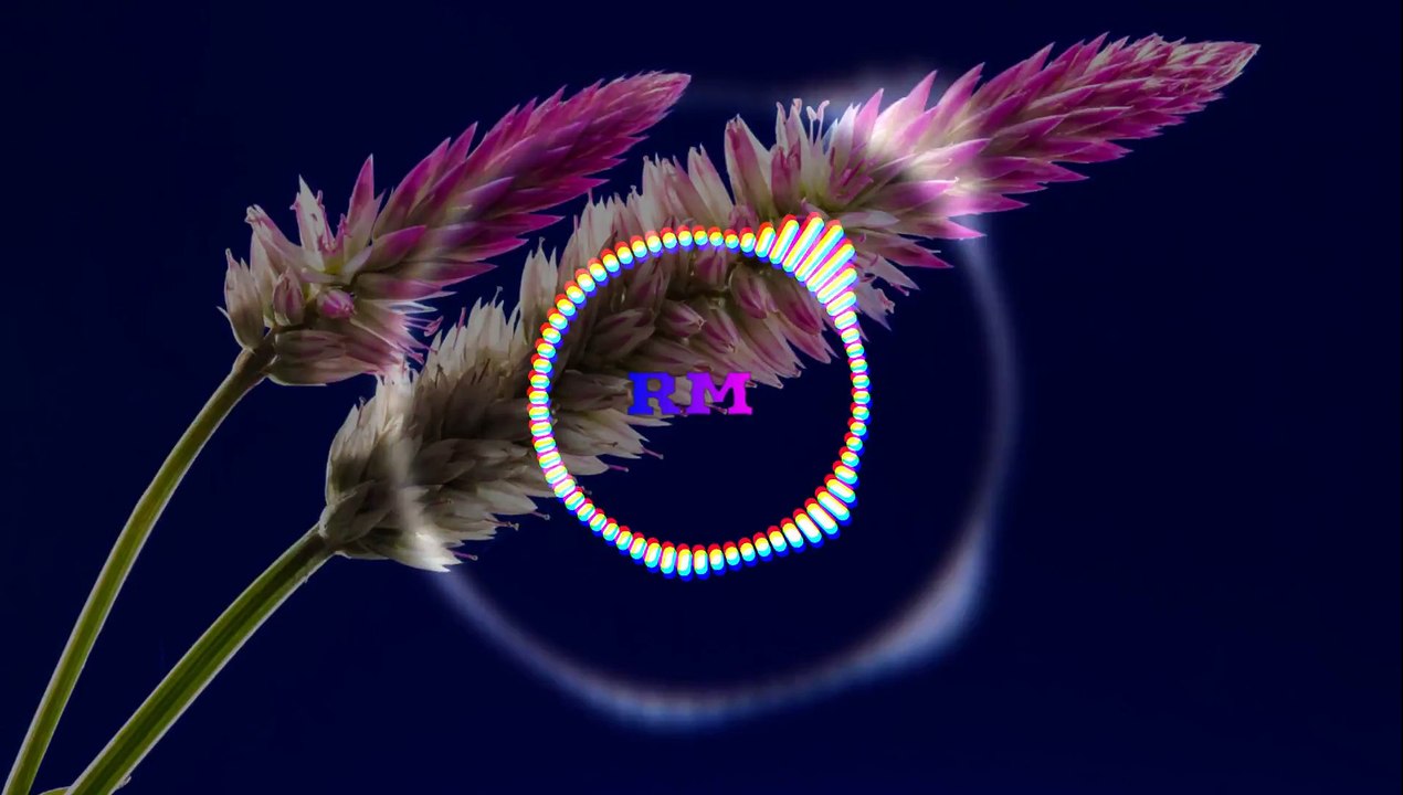 Lambada Ringtone