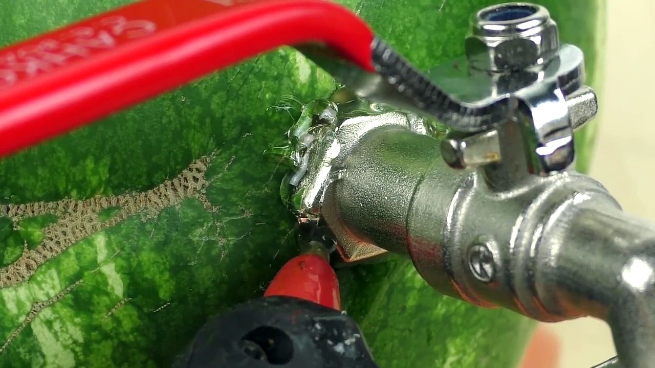 5 CRAZY TRICKS WITH WATERMELON