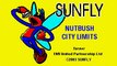Nutbush City Limits - Tina Turner (Karaoke)