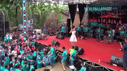 Jihan audy-pria istimewa