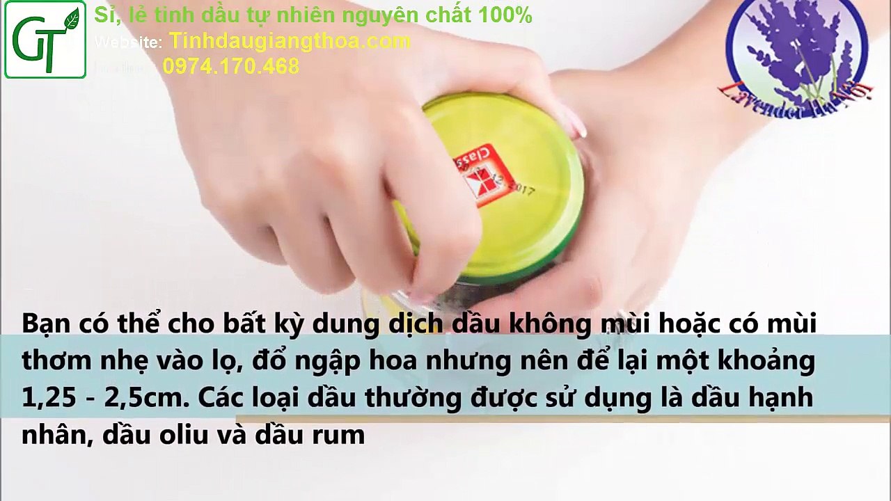 Cách Chiết Xuất Tinh Dầu Oải Hương Từ Hoa Oải Hương