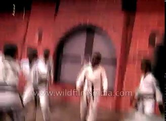 Snake bites galore - Ultimate test of human endurance by Indian Shihan Hussaini