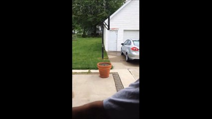 Des millions de vues pour la vidéo de ce chien qui se cache derrière un pot de fleurs