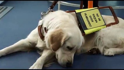 A vakság formái teljes film HUN ceský dabing ,akcní, dobrodružný 2015 part 1/2