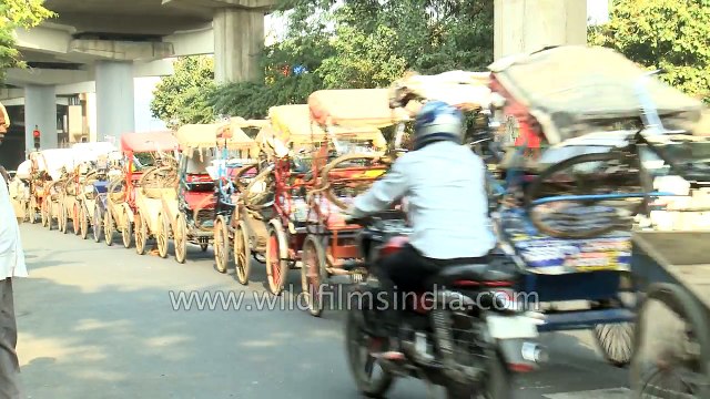Rickshaw puller drags along 25 rickshaws - only in India!