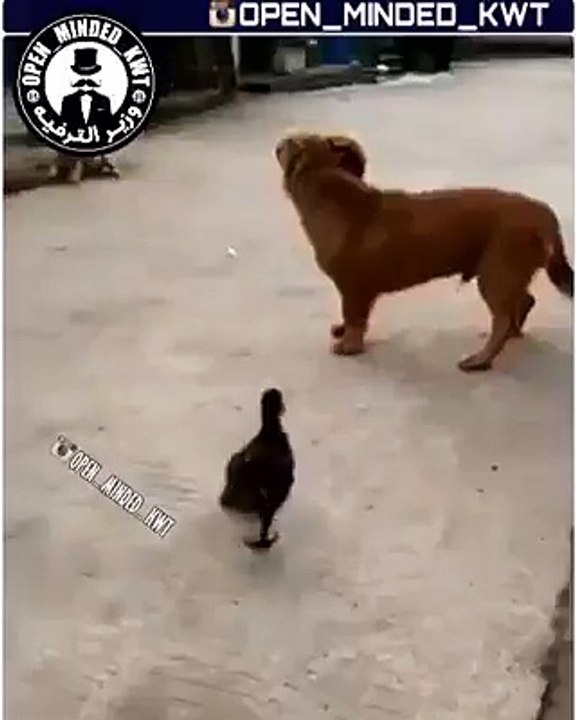 so funny