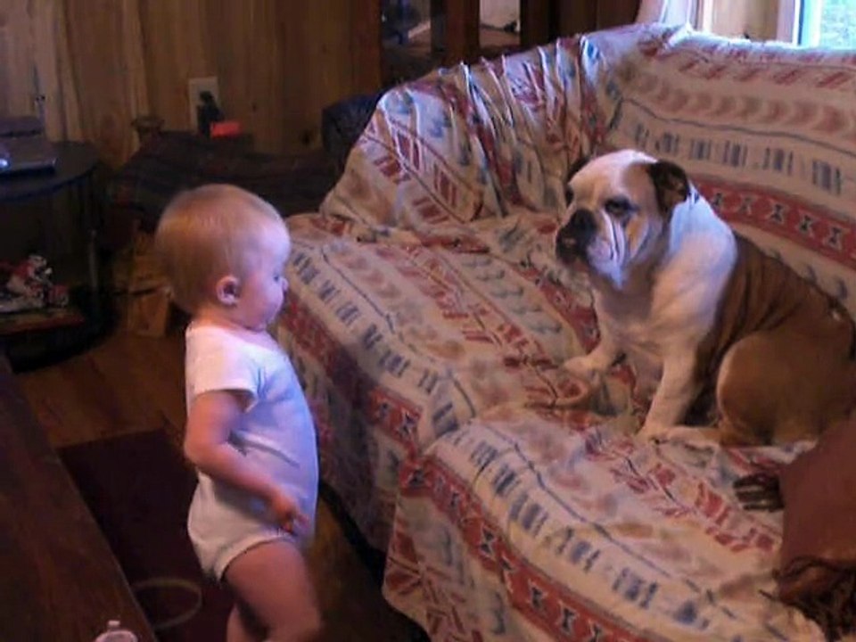 Mala beba je prišla svom buldogu, a ono što je uslijedilo je najslađa stvar ikada!