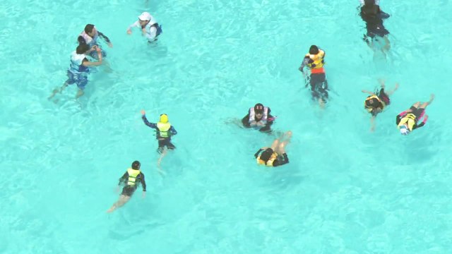 오늘은 내가 주인공! ...놀이공원마다 웃음꽃 / YTN