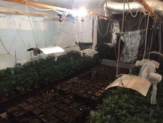 Büyükçekmece'de Lüks Villalara Uyuşturucu Baskını