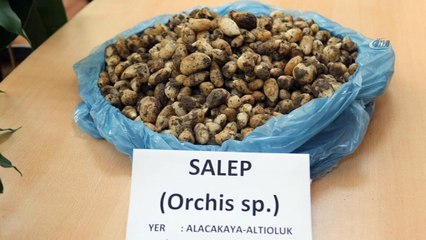6 kilo salep soğanına 48 bin 625 TL ceza