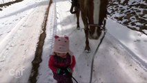 Djevojčica je povela konja u šetnju, ali se spetljala. Reakcija konja je istopila svima srce!
