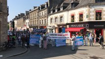 Manifestation régionale contre les compteurs Linky